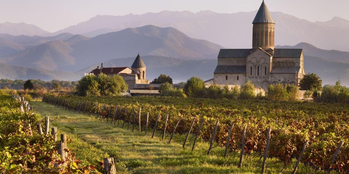 Georgian Vineyard